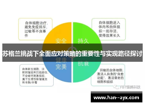 苏格兰挑战下全面应对策略的重要性与实现路径探讨