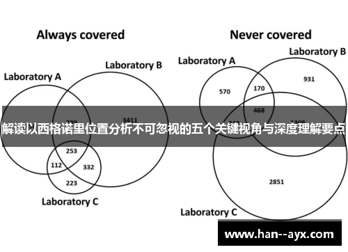 解读以西格诺里位置分析不可忽视的五个关键视角与深度理解要点